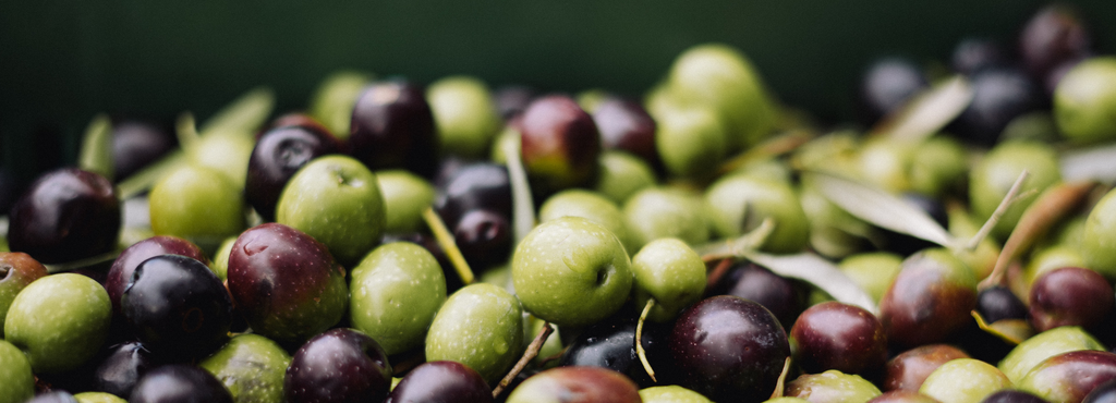 5 beneficios del Aceite de oliva virgen extra en el deporte